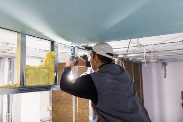 Best Commercial Insulation in Skyline View, PA