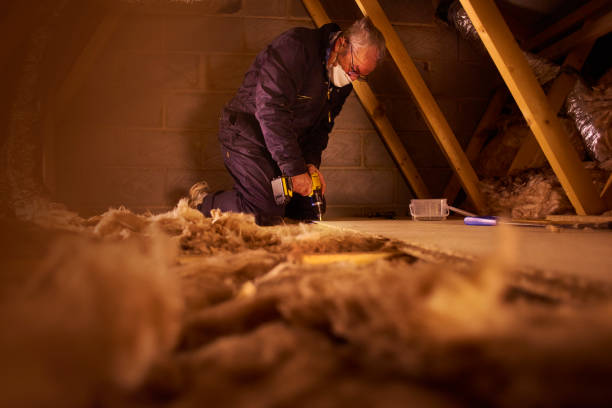 Best DIY Insulation Kits and Guidance in Skyline View, PA